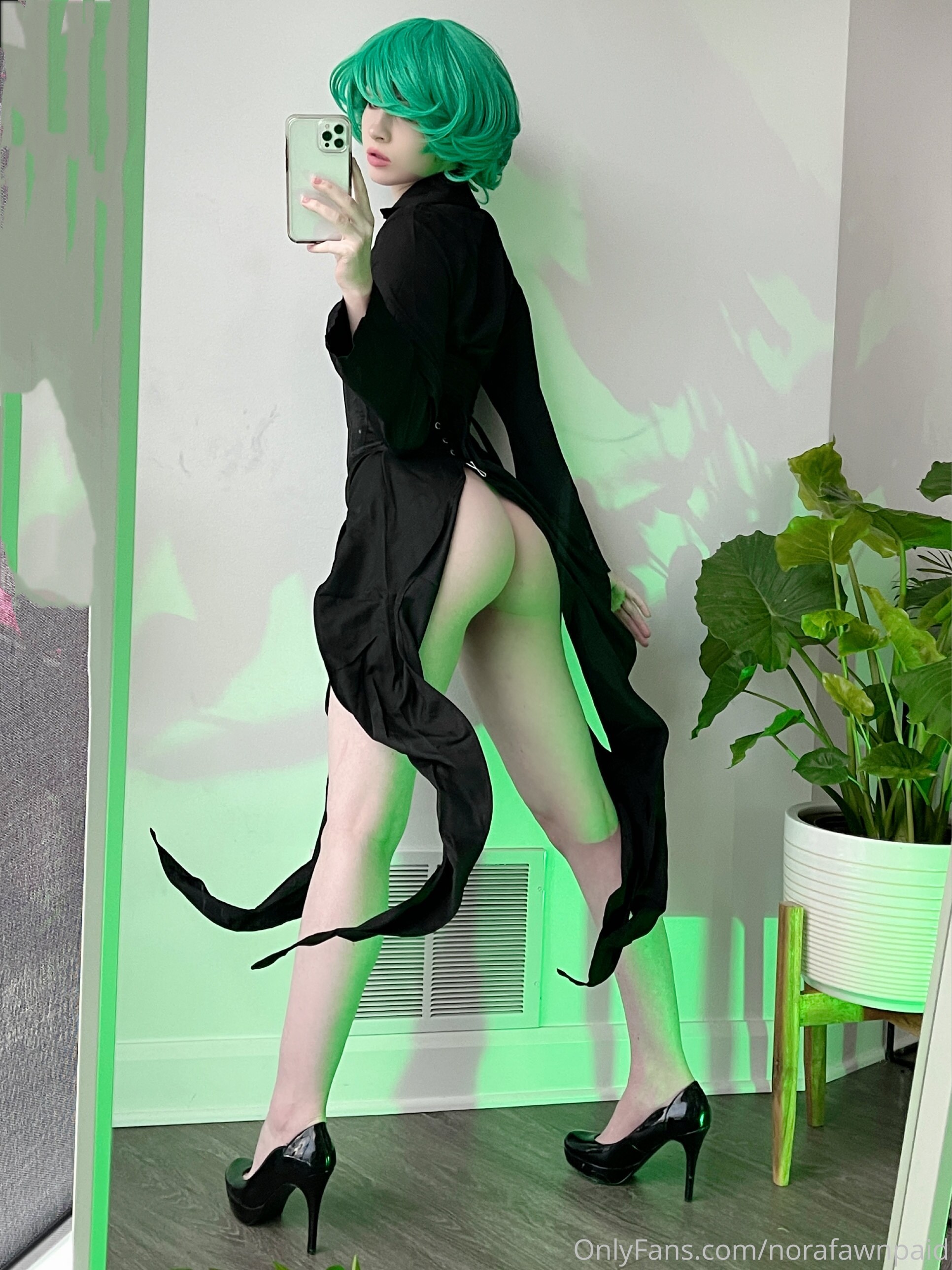Norafawn Photo #449