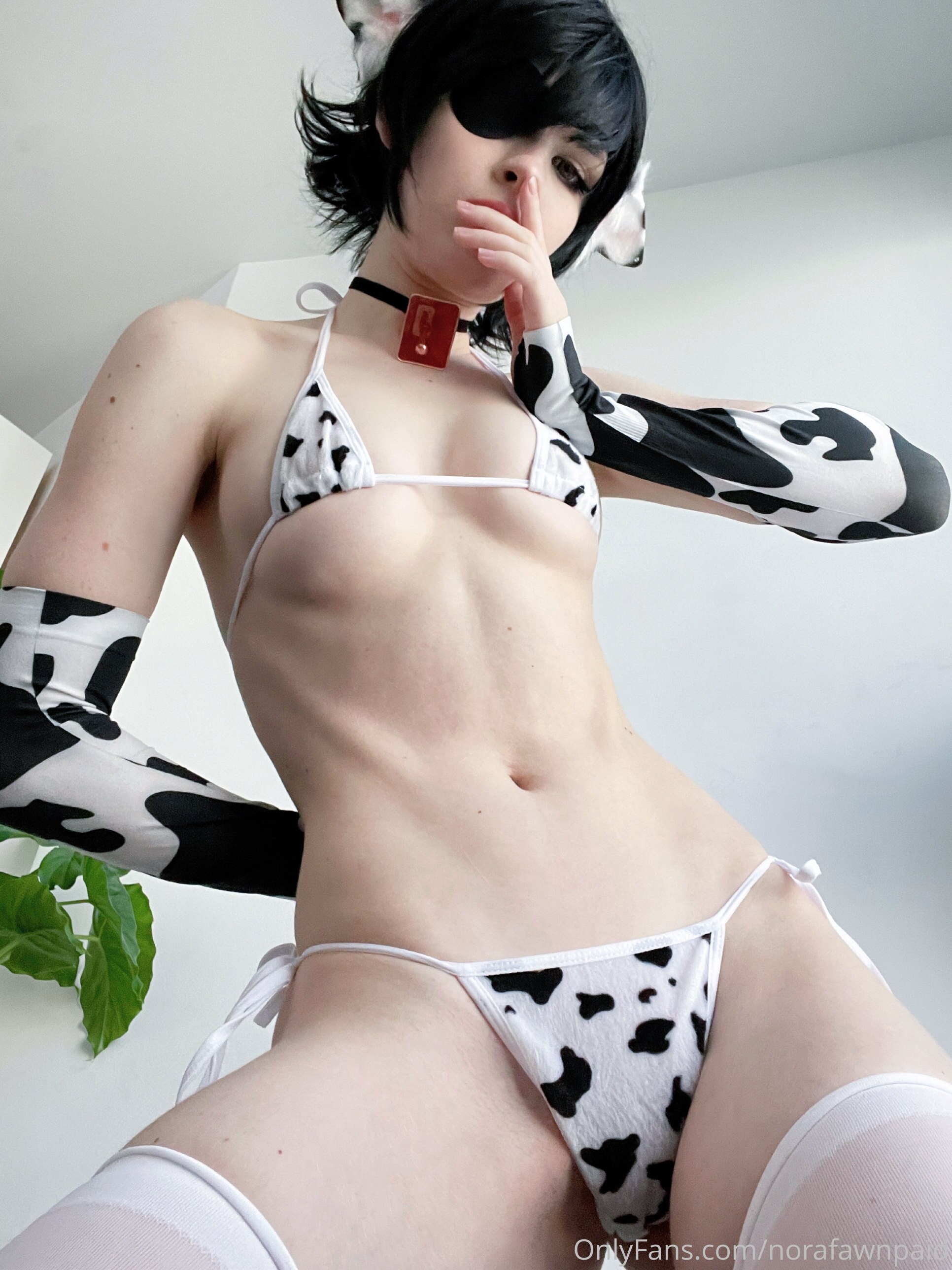 Norafawn Photo #600