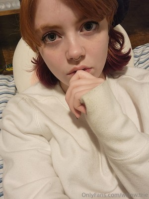 Willow Trie Post #33