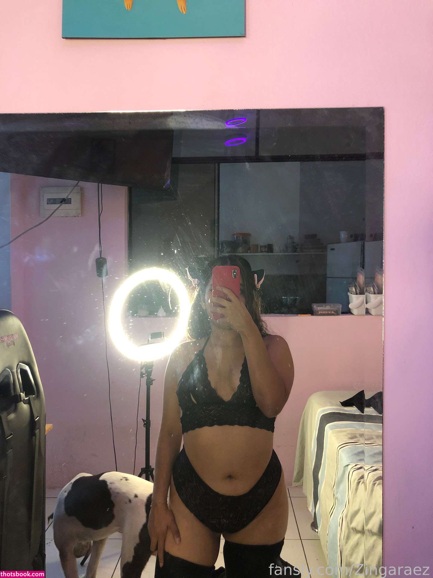 Zingaraez Photo #12