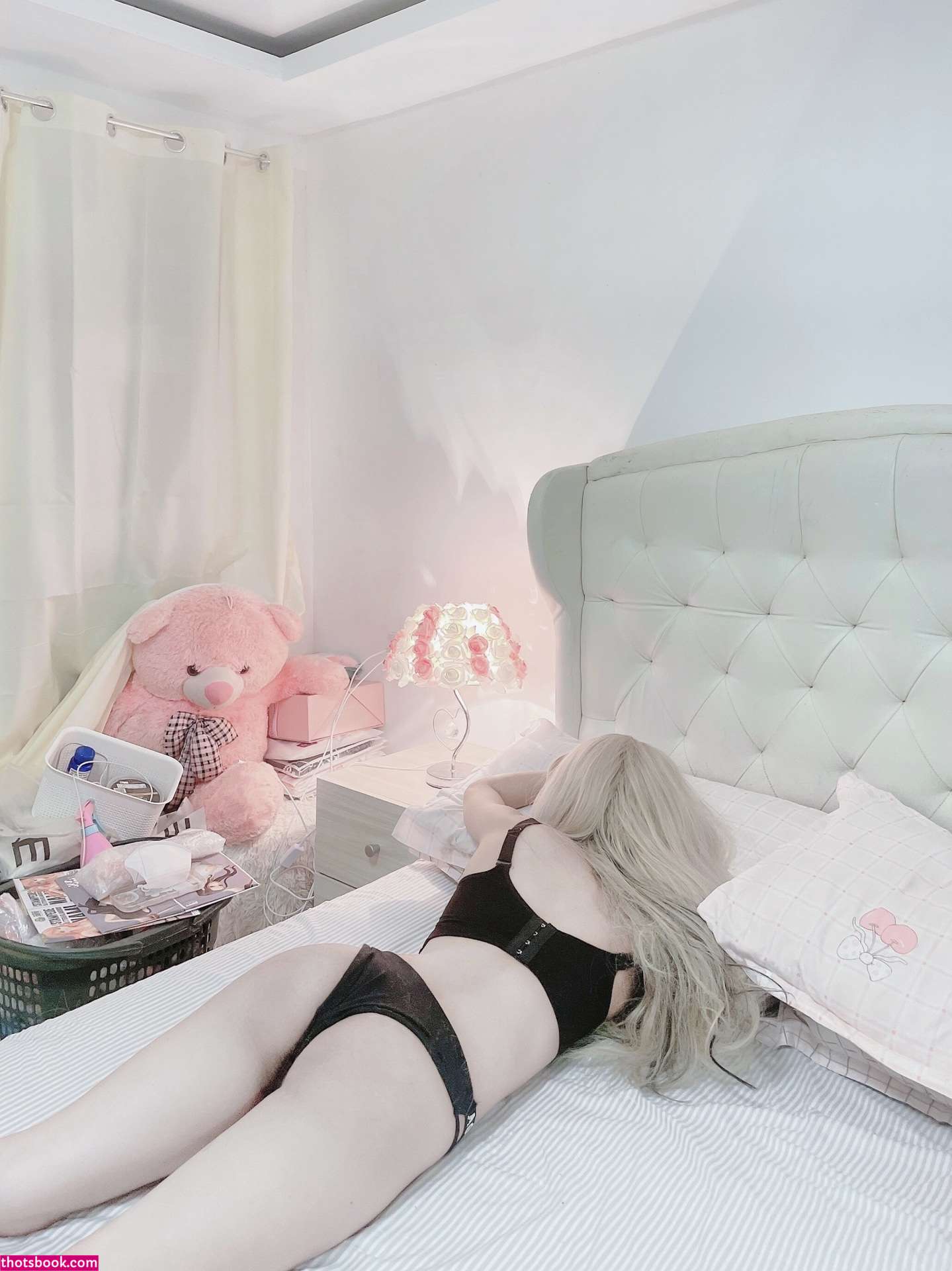 Akaricos Photo #11