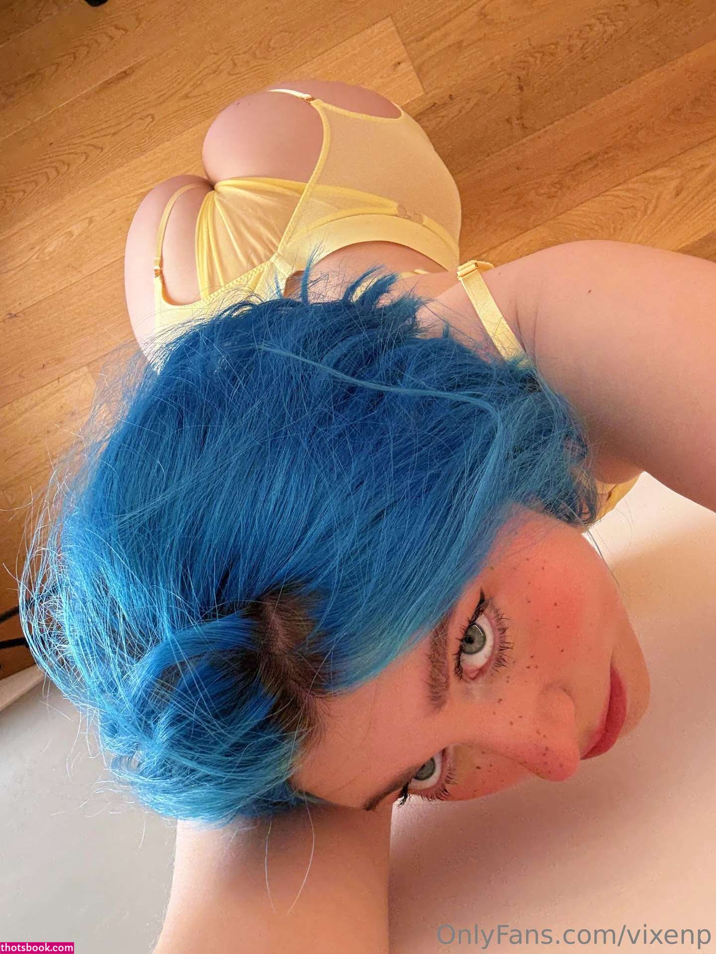 Vixenp Photo #993