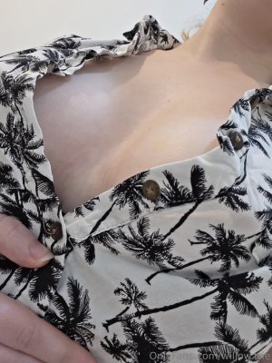 Willow Trie Photo #188