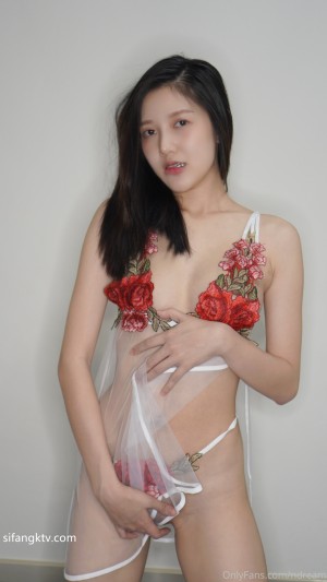 ndream Photo #77