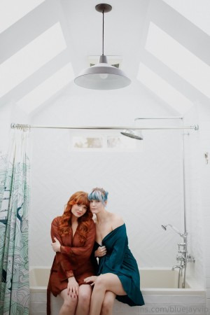 Bluejay Photo #2
