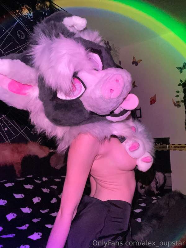 Ikkle Vixen Photo #11