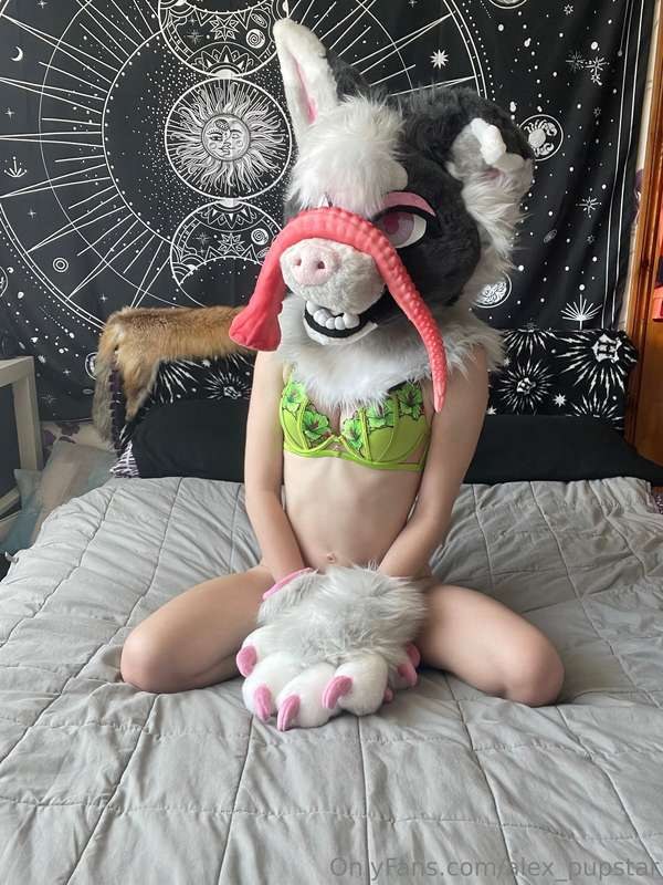 Ikkle Vixen Photo #36