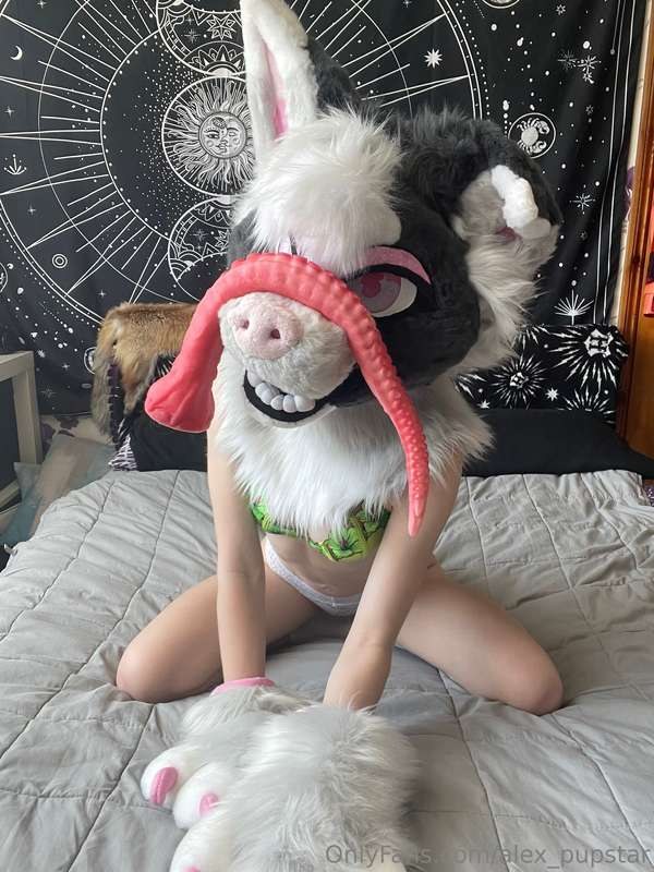 Ikkle Vixen Photo #37