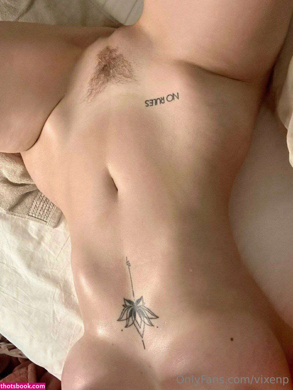 Vixenp Photo #480
