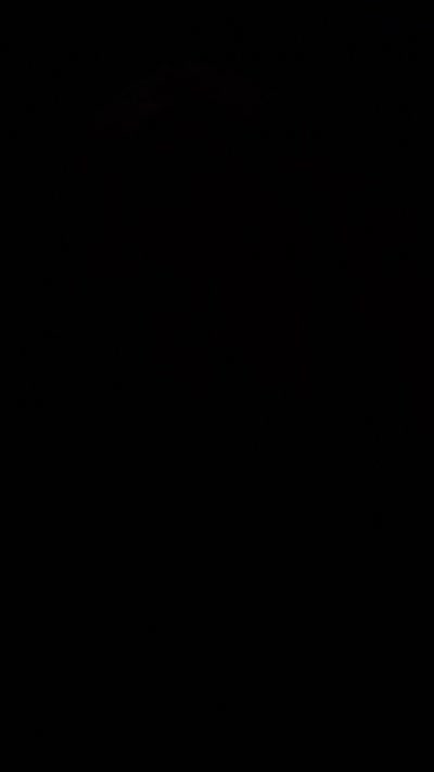 Sofly_s Video #81