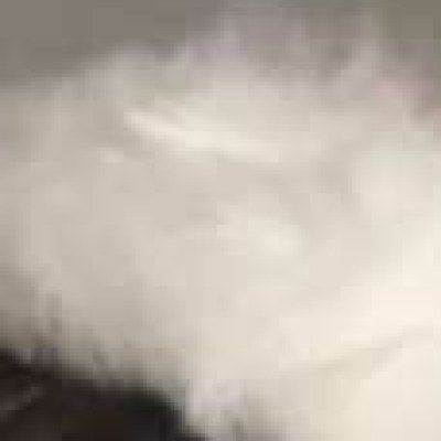 essaere Nude Leaks 1 Video OnlyFans - Celebsnake